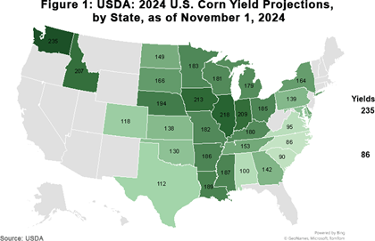 November 2024 WASDE Figure 1